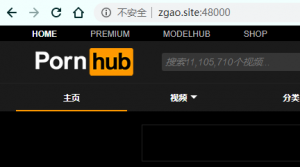白嫖？妙用Nginx的proxy_buffer实现Pornhub视频反代– Zgao's blog